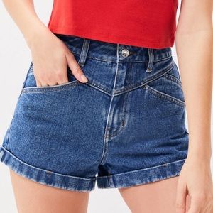 PacSun Size 22 Mom Shorts